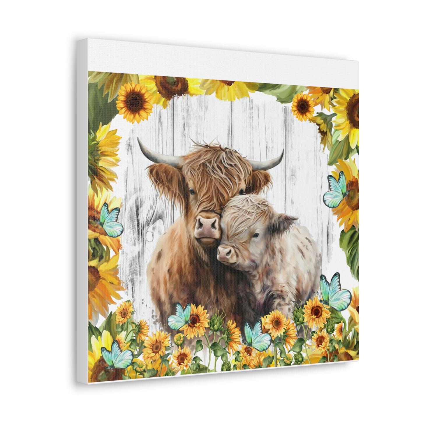 Highland Cows Canvas Gallery Wraps