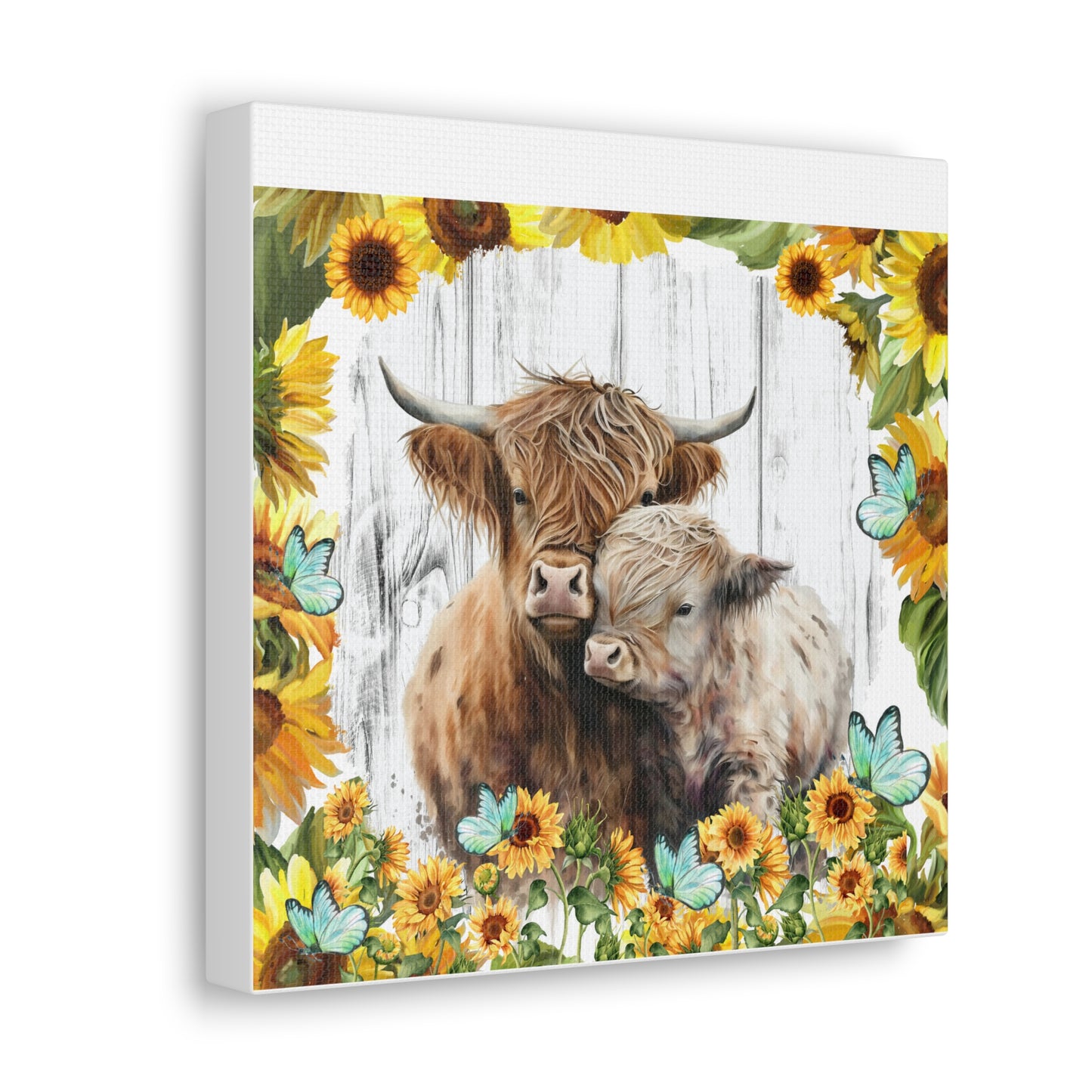 Highland Cows Canvas Gallery Wraps