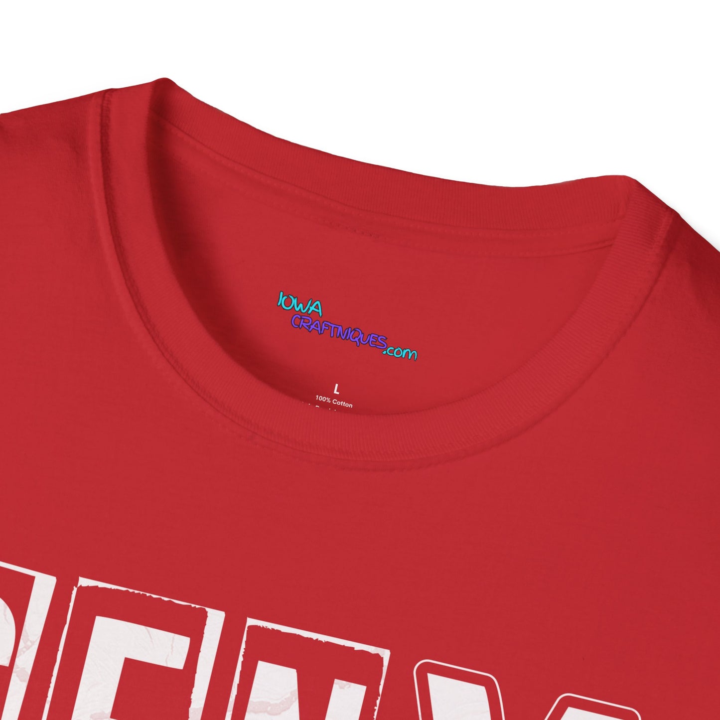 Gen X Raised On Unisex Softstyle T-Shirt
