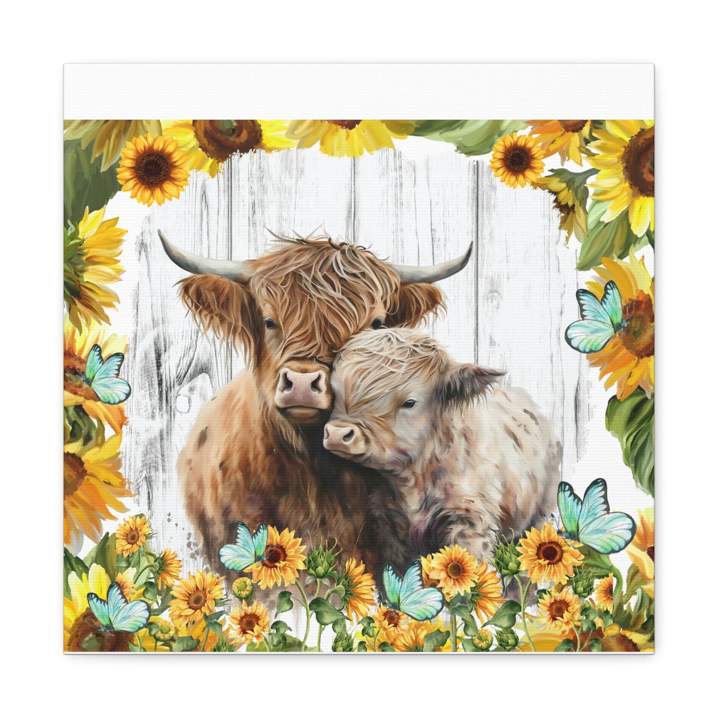 Highland Cows Canvas Gallery Wraps