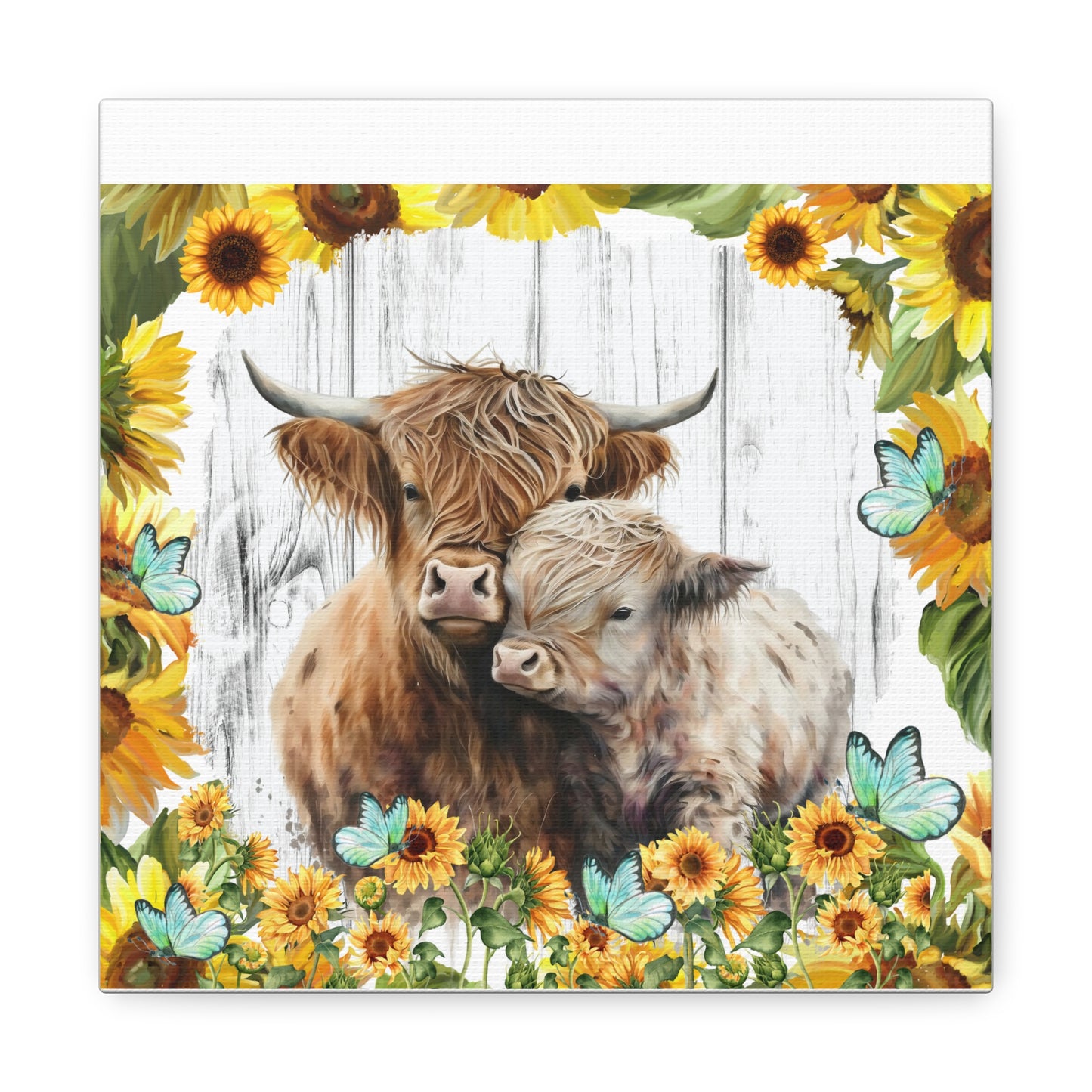 Highland Cows Canvas Gallery Wraps