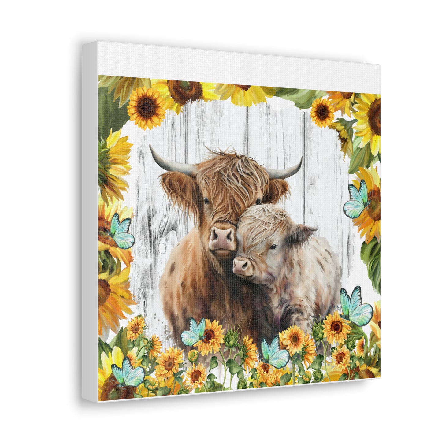 Highland Cows Canvas Gallery Wraps