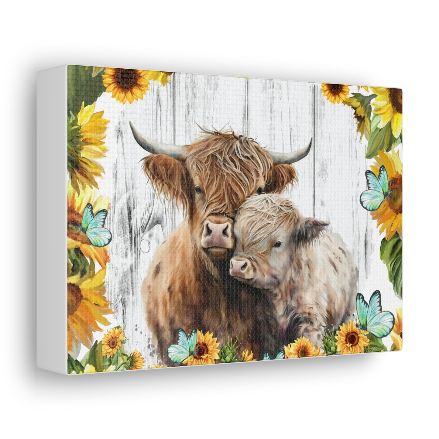 Highland Cows Canvas Gallery Wraps