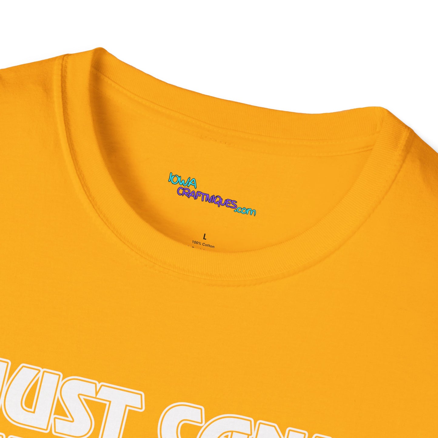 Can't Talk Unisex Softstyle T-Shirt
