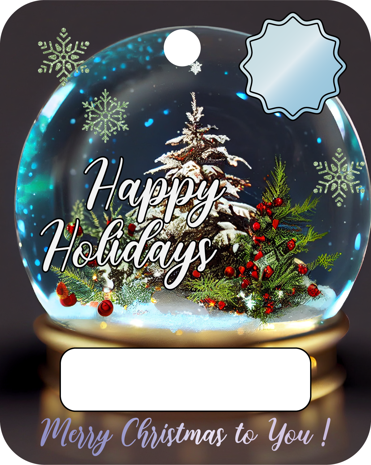 Christmas plastic pouch Money Holders