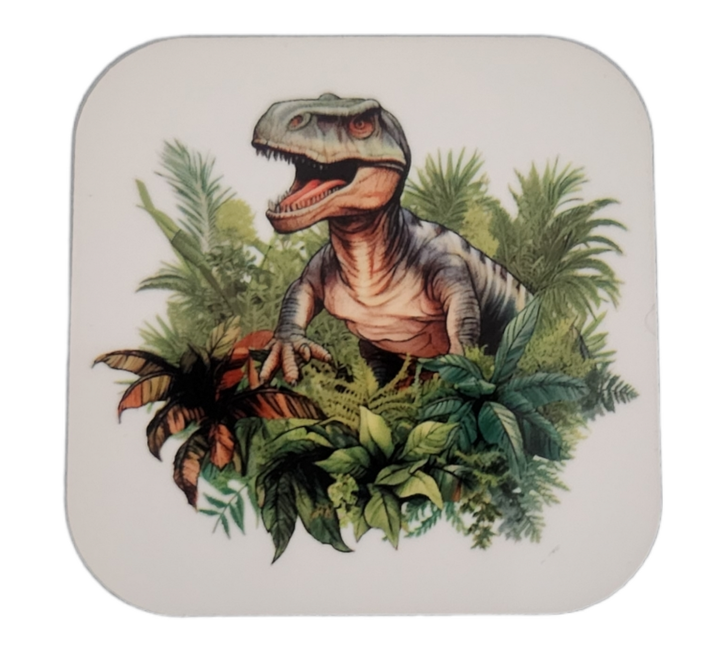 Dinosaur Magnets