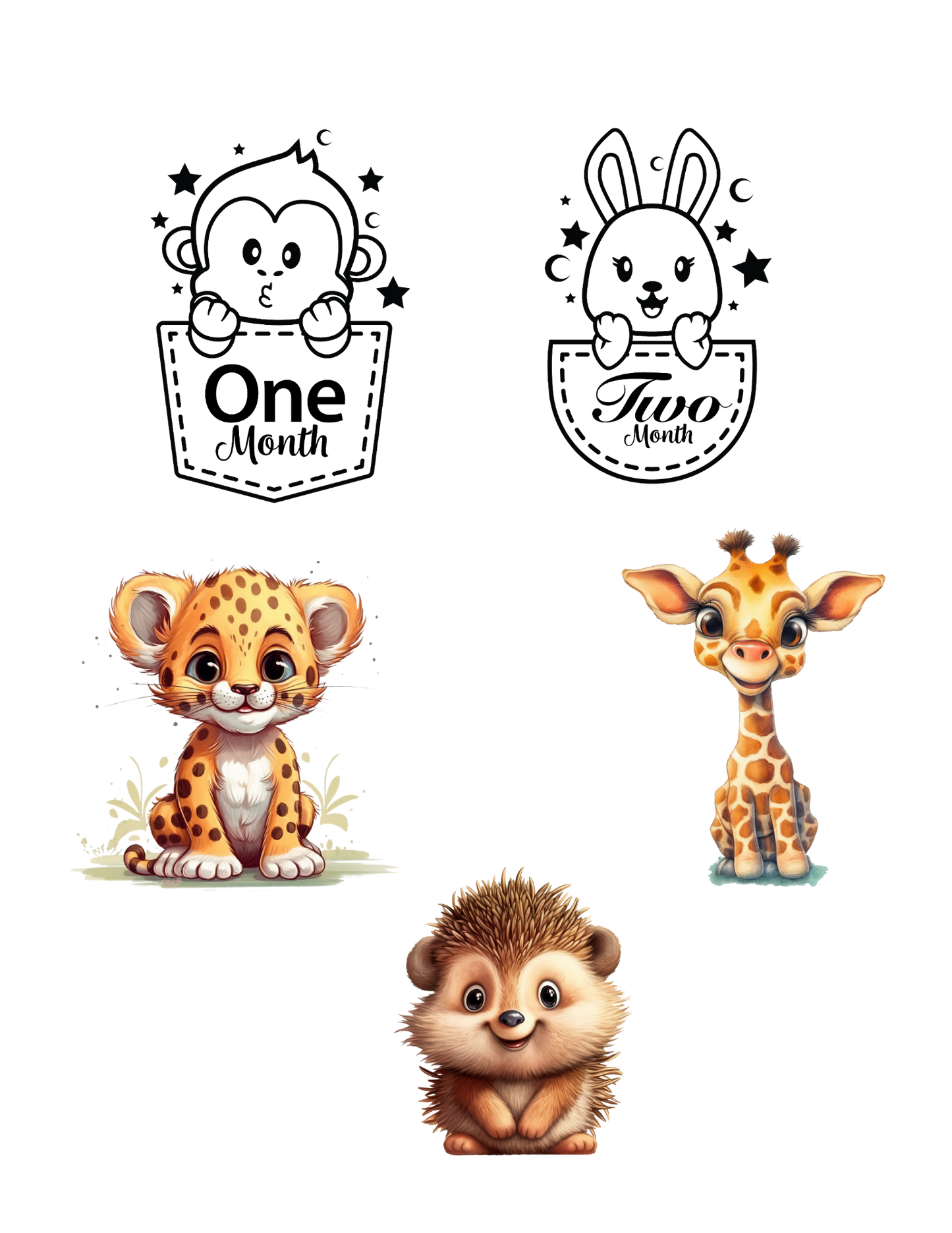 Custom Baby Milestone Circles