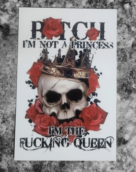 Not a princess metal sign