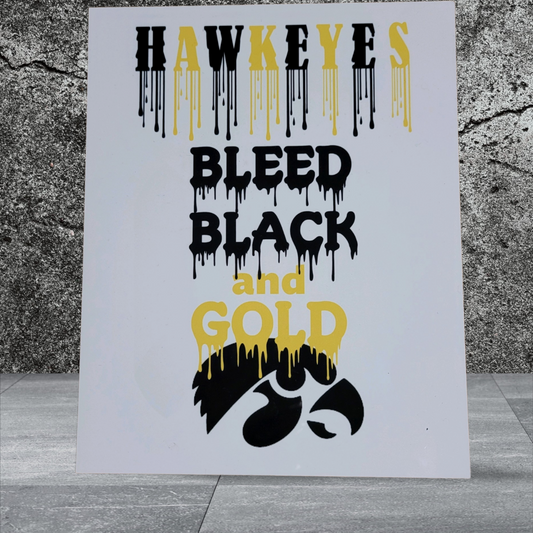 Hawkeyes Metal Sign